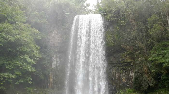 Millaa Millaa Falls