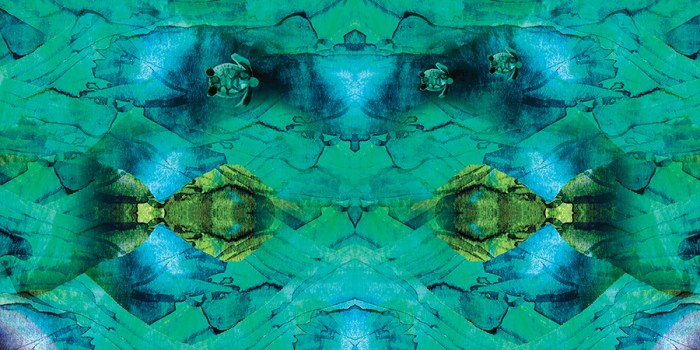 TURTLE_LOVE20_endpages